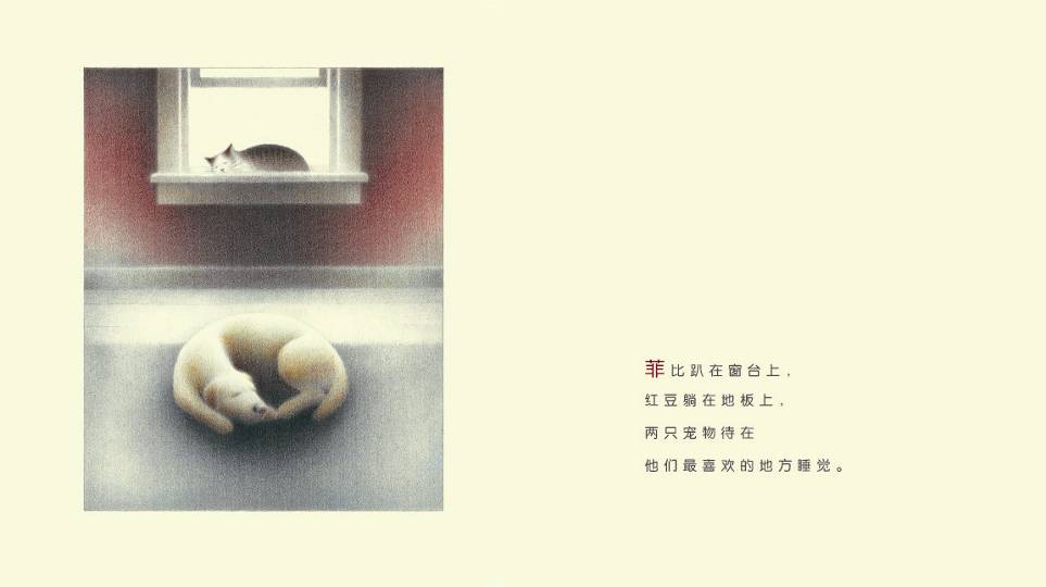 红豆与菲比 (04),绘本,绘本故事,绘本阅读,故事书,童书,图画书,课外阅读